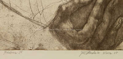  / Madona / Jiří Anderle