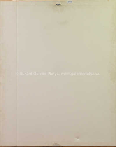  / Ještěrka (podle Caravaggia) / Jiří Anderle