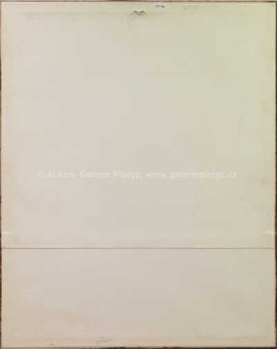  / Bacchus (podle Caravaggia) / Jiří Anderle