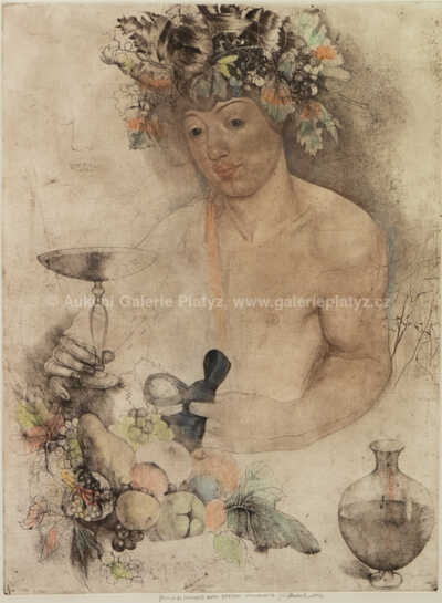  / Bacchus (podle Caravaggia) / Jiří Anderle