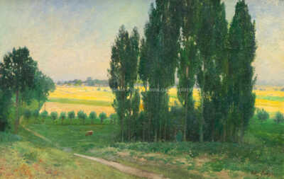  / Topoly / Václav Jansa