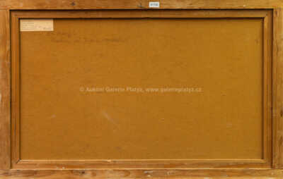  / Praha od Jiráskova mostu / Bohumír Dvorský