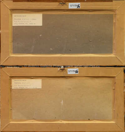  / Z Vysočiny, konvolut dvou kusů / František Emler