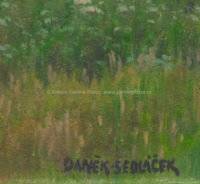  / Koupání / František Daněk - Sedláček