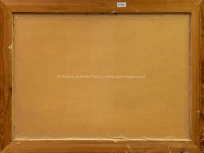  / Koupání / František Daněk - Sedláček