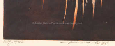  / Konvolut tří kusů - Variace na Boudníka / Oldřich Hamera