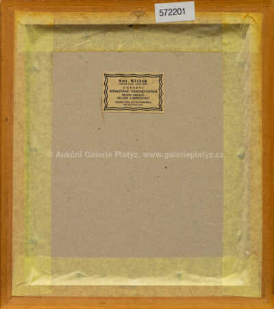  / Lovec motýlů / Adolf Born