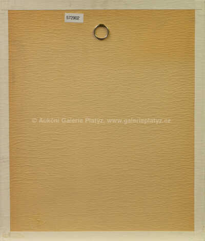  / Havran / Ota Janeček