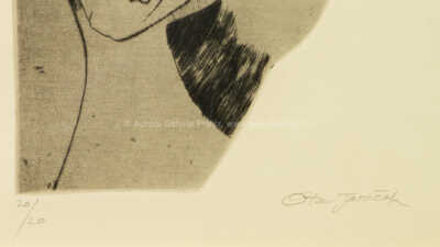  / Havran / Ota Janeček