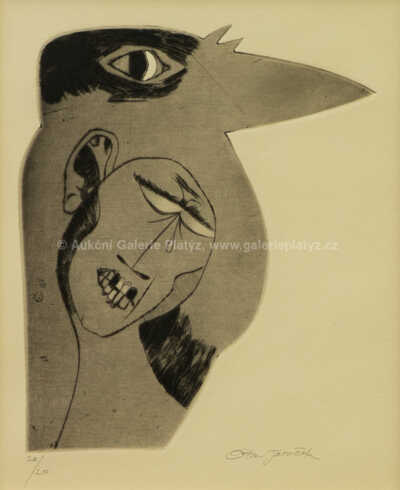  / Havran / Ota Janeček