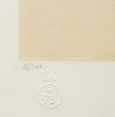  / Lady Butterfly / Salvador Dalí