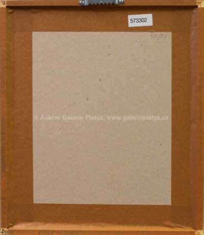  / Tvář / Marie Čermínová - Toyen