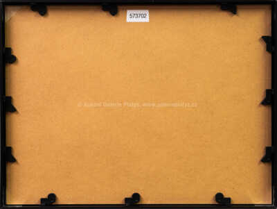  / ... i hříchy budou! / Iva Hüttnerová