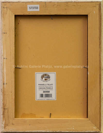  / Klaun / Iva Hüttnerová