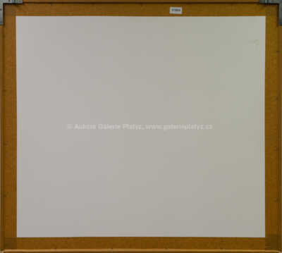  / Černá a bílá / Květa Válová