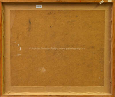  / Dáma se závojem / Pavel Vavrys