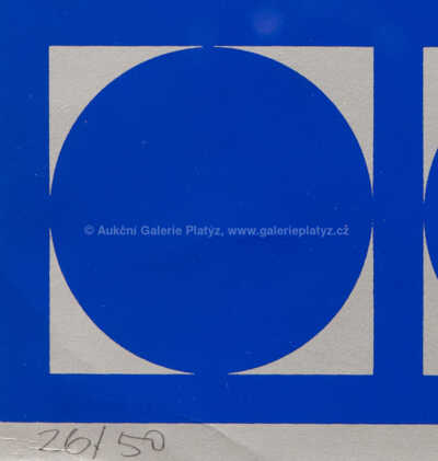  / Kruhová struktura / Hugo Demartini