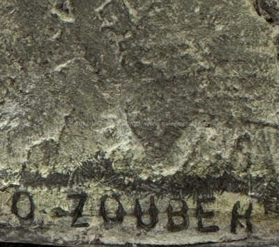  / Nesený vítěz / Olbram Zoubek