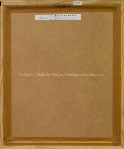  / Muž / Kristian Kodet