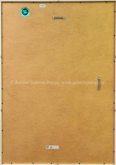  / Thief / Pasta  Oner