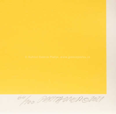  / I told a Lie / Pasta  Oner