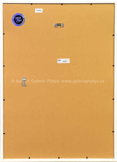  / Give Us Cash / Pasta  Oner