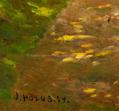  / Zámecká alej /  Josef Holub