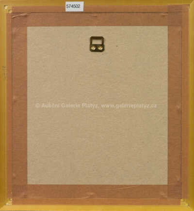  / Čínští pávi / Zdeněk Sklenář