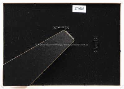  / Krtek a sněhulák / Zdeněk Miler