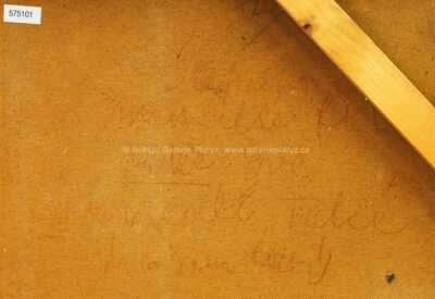  / Portrét ženy / Míla Doleželová