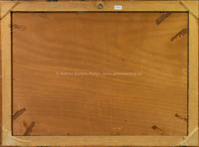  / Na poli / Otto Molitor