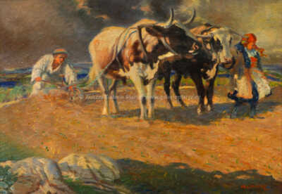  / Na poli / Otto Molitor