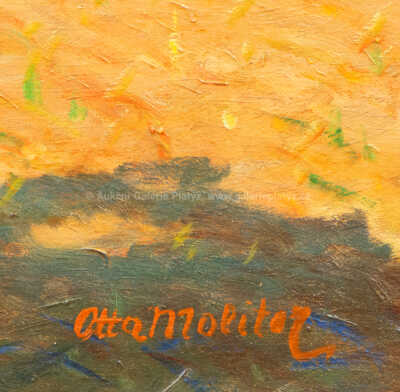  / Na poli / Otto Molitor