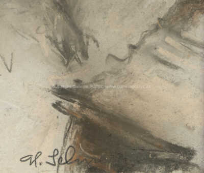  / Zimní bouře v Beskydech / Alois Schneiderka