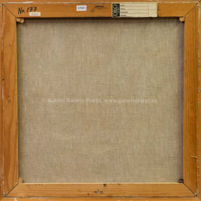  / Zimní Paříž / Milan Martinec