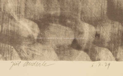  / Il Sorriso (Úsměv) / Jiří Anderle