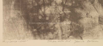  / Il Sorriso (Úsměv) / Jiří Anderle