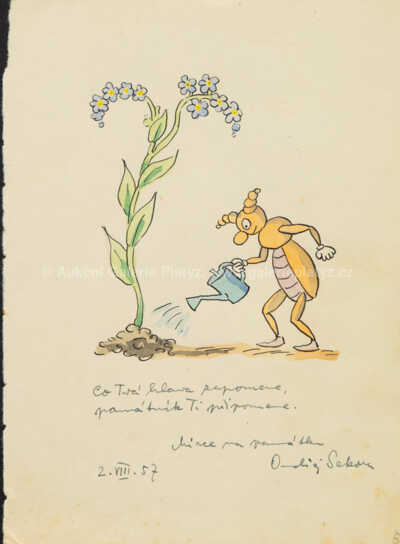  / Brouk Pytlík / Ondřej  Sekora