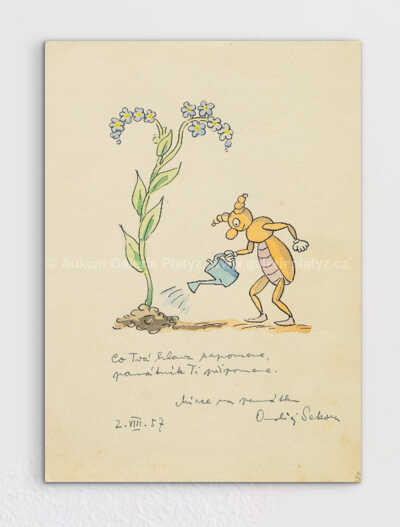 Ondřej  Sekora - Brouk Pytlík