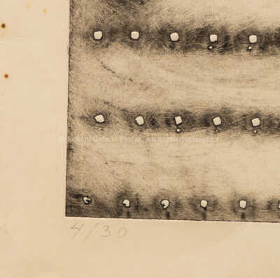  / Plavání / Alena Kučerová