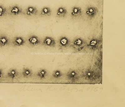  / Plavání / Alena Kučerová