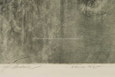  / Mademoiselle Riviére entre nous / Jiří Anderle