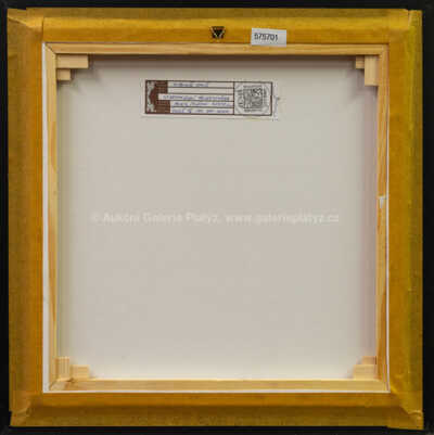  / Spartakiádní třicetosmička / Vladimír Jeniš