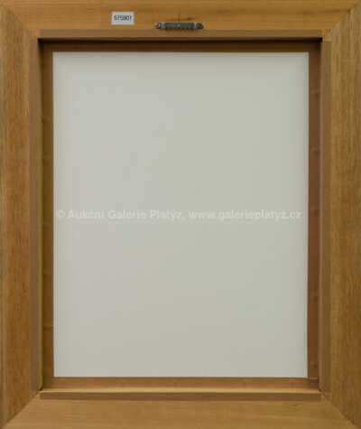  / Dáma v divadelní lóži / Jan Saudek