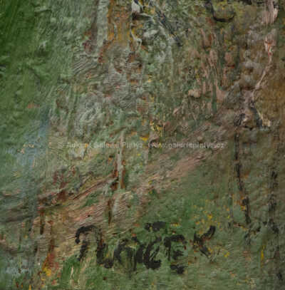  / Sportovec / Jan Bedřich Plaček