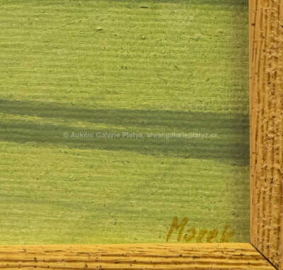  / Ke světlu / Jiří Mocek