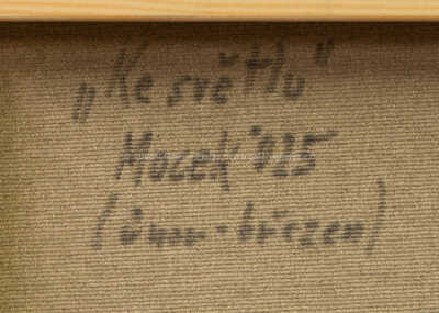  / Ke světlu / Jiří Mocek