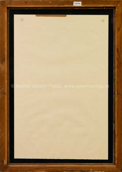  / Setkání s A.W.Mozartem / Jiří Anderle