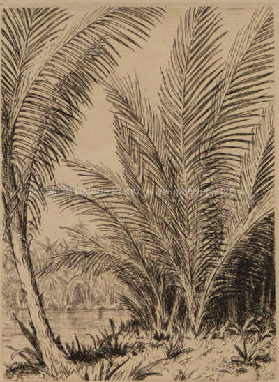  / Palmy, z cyklu Dva listy z Cejlonu / František Tavík Šimon