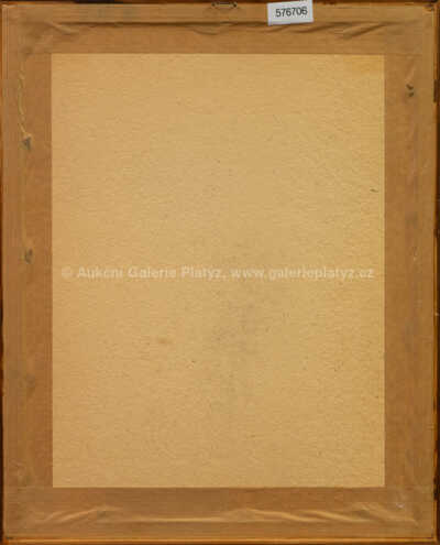  / Trilek / Jiří Anderle